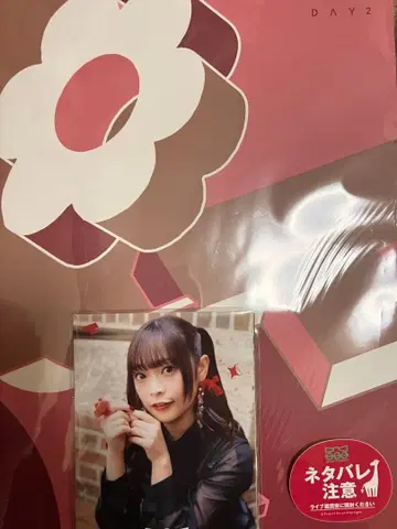 스타라이트 Starry Horizon 혜택