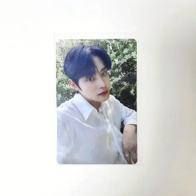 제베원 김지웅 일본 타워레코드 특전 앨범 포카 프레젠트 럭드 미공포 공방