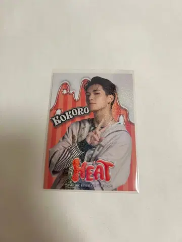 코하츠시 포토 카드 시크릿