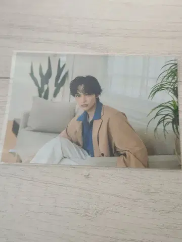 카지타 타쿠키 카레이베