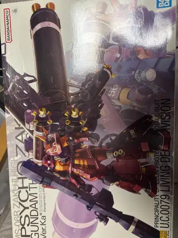 [] MG 1/100 기동동형 자크 사이코 자크 Ver.Ka