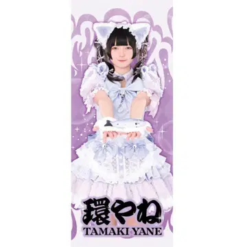 [ 가격 인하 가능 ] 환야네 큐루링 해봐 생일 2025 타월