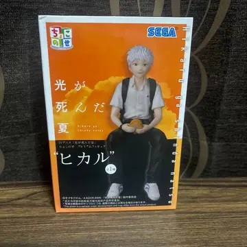 빛이 죽은 여름 쵸코노세 프리미엄 피규어 히카루 피규어