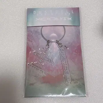 DUSTCELL 와이어 아크릴 키링