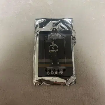 SEVENTEEN HOME 승철