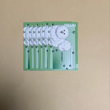 18trip 슈마이 사원증풍 카드 명함 카드 7장