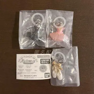 발레 모티브 메지루시 액세서리