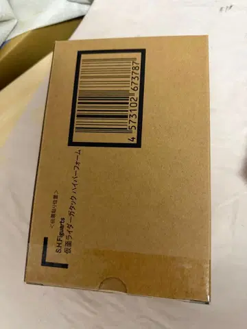 진골조각 가면라이더 하이퍼 카부토