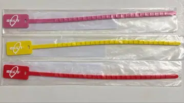 결속 밴드의 결속 밴드 고토 히토리 이지치 니지카 키타 이쿠요