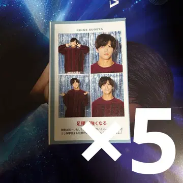 TV 가이드 증명 사진 스다 린네