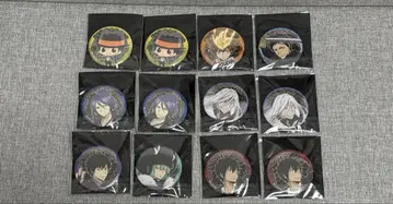 가정교사 히트맨 REBORN! 미래편 되돌아보기 페어 컬렉션 캔뱃지