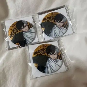 WINDBREAKER 윈브레전 사쿠라 하루카 캔뱃지