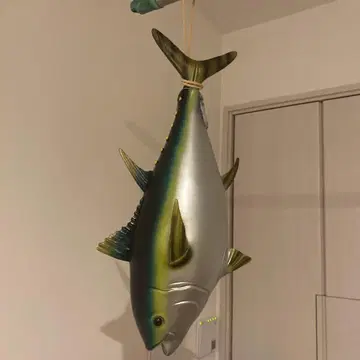 리얼한 물고기 피규어 약 50cm
