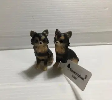 미니어처 플래닛 에이코 EIKOH 롱 코트 치와와 2개