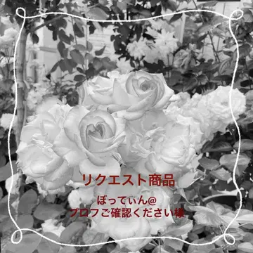 봇틴@프로필 확인 부탁드립니다 님 리퀘스트 상품