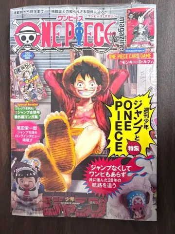 ONE PIECE magazine Vol.20 원피스 매거진 20호