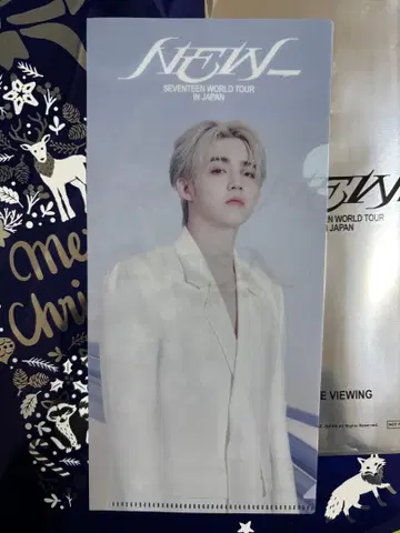 SEVENTEEN WORLD TOUR IN JAPAN 클리어 파일