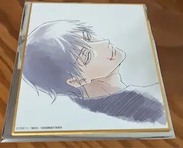 애니메이션 주술회전전 회옥옥절 후시구로 토우지 미니 색지 새상품