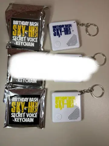 SKY-HI SKYHI 보이스 키링 벌스데이