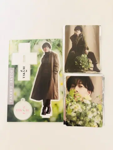 새상품급 사토 타케루 아크릴 스탠드 트레이딩 카드 TAKEFES