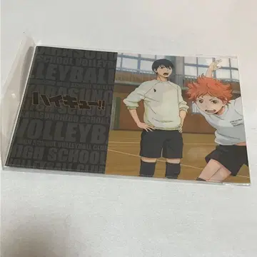 하이큐 연습 중 롱 홀더