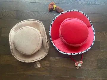 도쿄 디즈니 리조트 토이스토리 우디 제시 팬캡