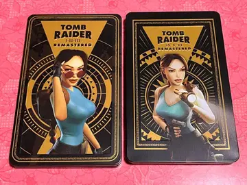 닌텐도 스위치 툼 레이더 스틸 케이스 라라 크로프트 캔