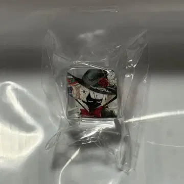 컴퍼스 페스티벌 캡슐 아크릴 큐브 펄리니에