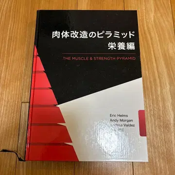 신체 개조의 피라미드 영양편