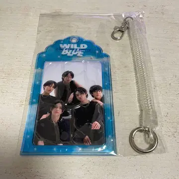 WILD BLUE 포토 카드 세트