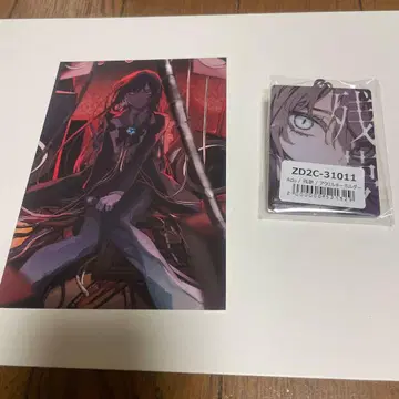 Ado SPECIAL LIVE 엽서와 키링 세트 새상품