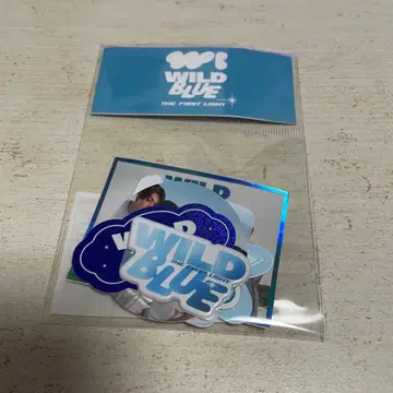 WILD BLUE 스티커 세트