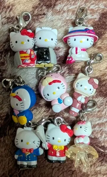 지역 한정 키티 지퍼 8개 세트 묶음 판매