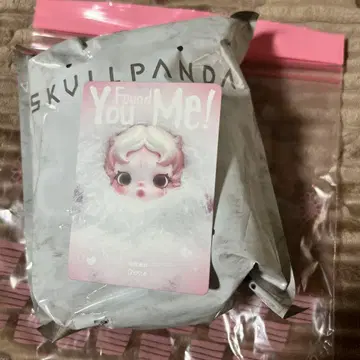 SKULLPANDA You Found Me! 스컬팬더 미개봉 새상품