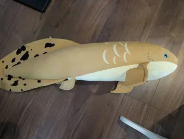 네오케라토두스 쿄린