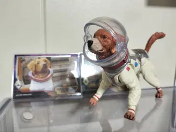 마블 레전드 코스모 가디언즈 오브 갤럭시 피규어 카드