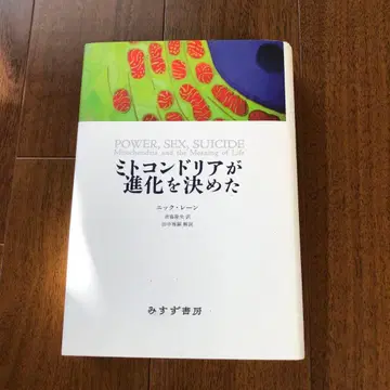 미토콘드리아가 진화를 결정했다
