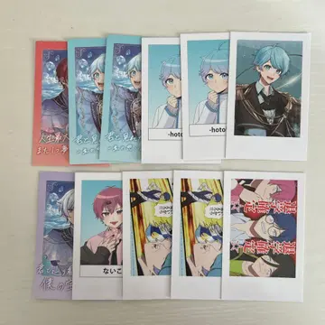 아이리스 폴라로이드풍 트레이딩 카드 엽서 티켓풍 카드 세트