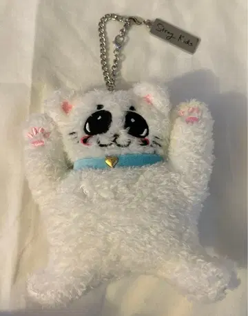 스키즈 사우나 백참 필릭스