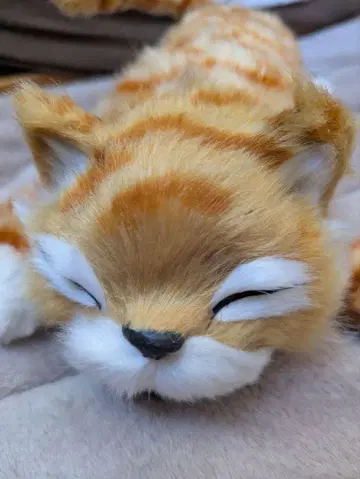 고양이 봉제 인형 웃는 고양이