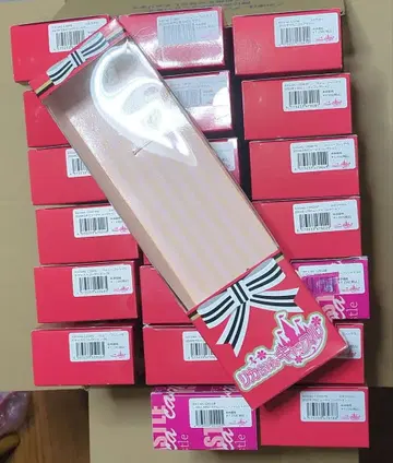 리카짱 캐슬 빈 박스 신발 포함 21개 상자