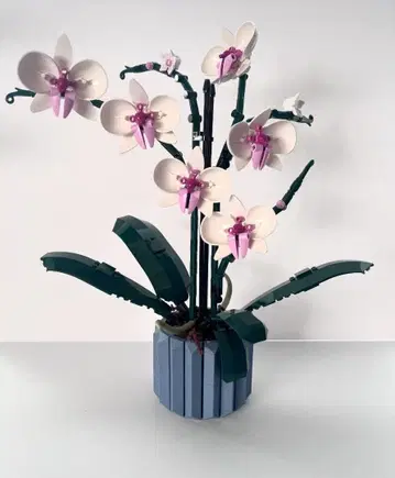 LEGO 10311 팔레놉시스