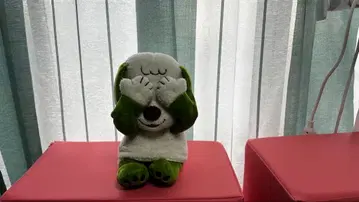 WAINMAN 음악 완구와 봉제 인형 세트