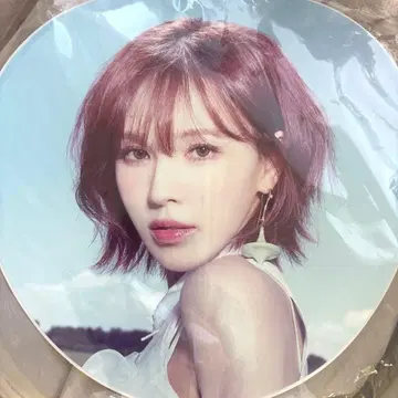 레드벨벳 웬디 Wendy 1st World Tour 부채
