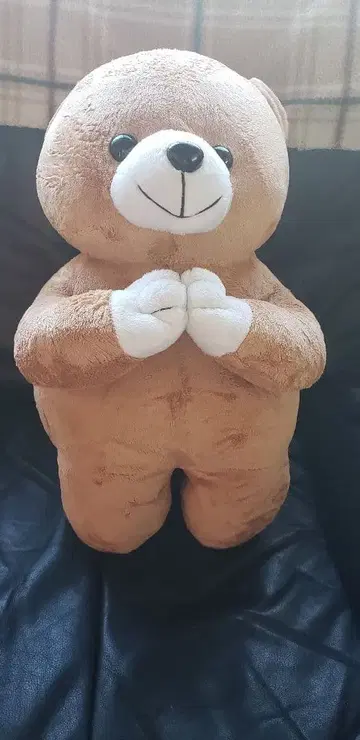 브라운 곰 봉제 인형