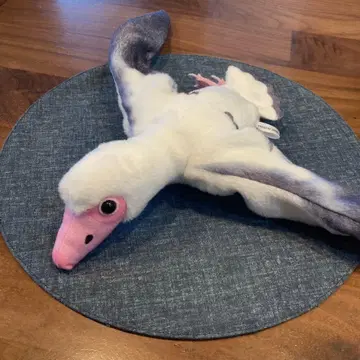 펠라르고르니스 산델시 봉제 인형