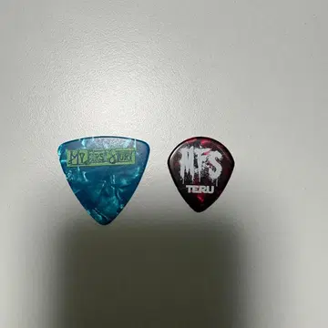 MY FIRST STORY 피크 (TERU.NOBU)