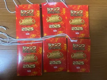 점프 빅토리 카니발 2025 여권 6점 점프 페스타 26