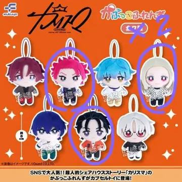 카리스마 카푸코 프렌즈 테라 (x2), 이토 후미야, 사루카와 케이