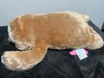 나무늘보 봉제 인형